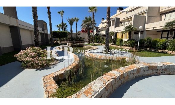 Revente - Appartement -
La Mata