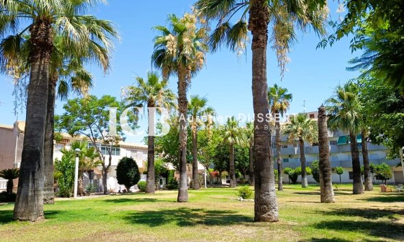 Revente - Appartement -
Orihuela Costa - La Regia