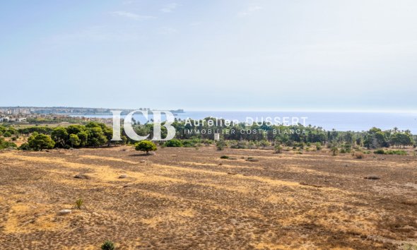 Revente - Appartement -
Punta Prima - Torrevieja