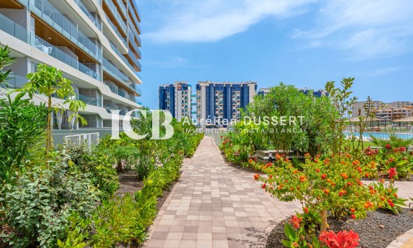 Revente - Appartement -
Punta Prima - Torrevieja
