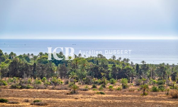 Revente - Appartement -
Punta Prima - Torrevieja