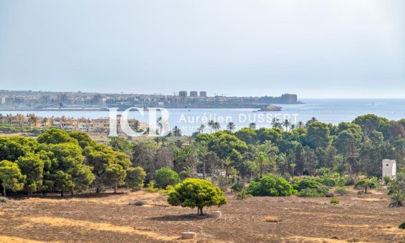 Revente - Appartement -
Punta Prima - Torrevieja
