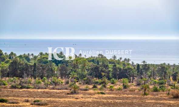 Revente - Appartement -
Punta Prima - Torrevieja