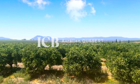 Revente - Appartement -
Algorfa