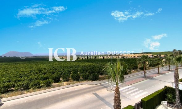 Revente - Appartement -
Algorfa