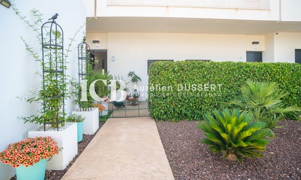 Revente - Appartement -
Pilar de la Horadada - Lo Romero Golf