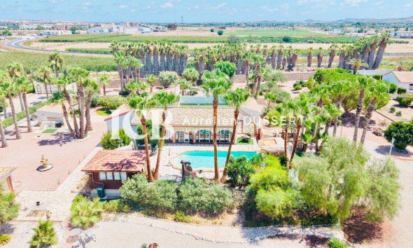 Revente - Villa -
Daya Vieja