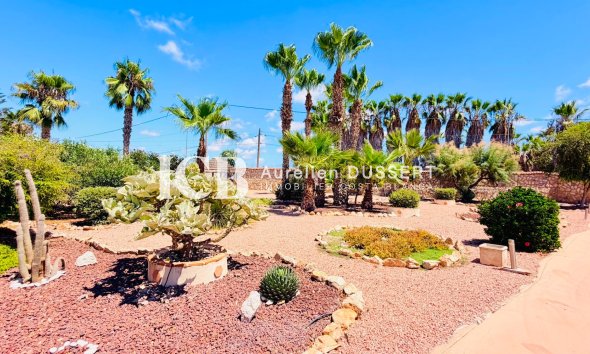 Revente - Villa -
Daya Vieja
