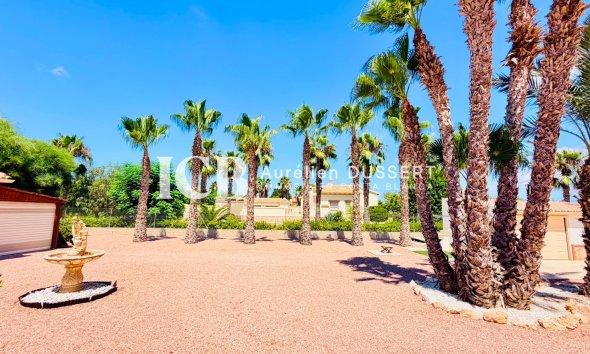 Revente - Villa -
Daya Vieja