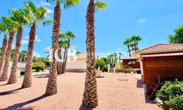 Revente - Villa -
Daya Vieja