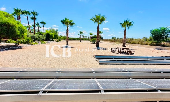 Revente - Villa -
Daya Vieja