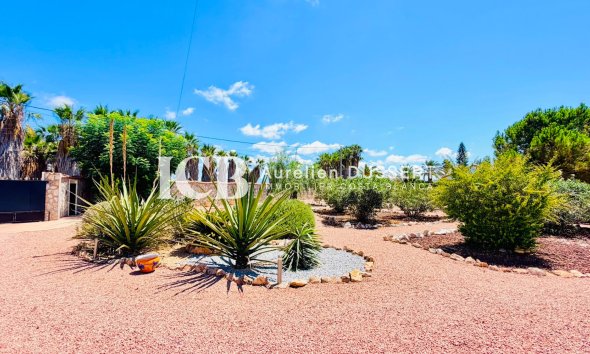 Revente - Villa -
Daya Vieja