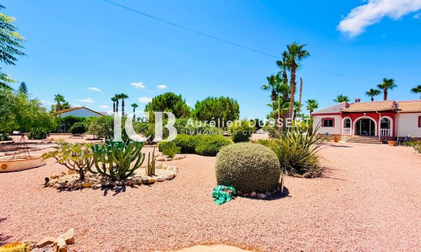 Revente - Villa -
Daya Vieja