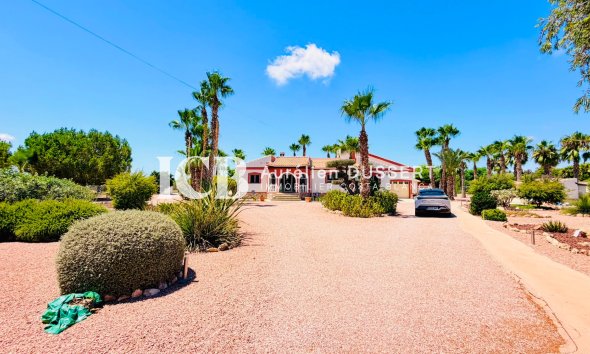 Revente - Villa -
Daya Vieja
