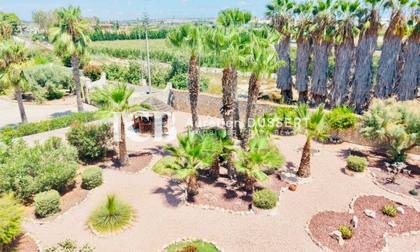 Revente - Villa -
Daya Vieja