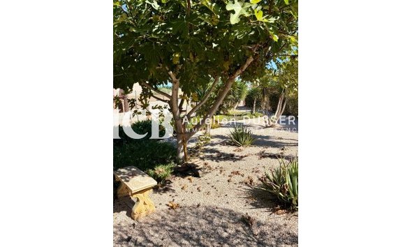 Revente - Appartement -
Orihuela Ville - Orihuela